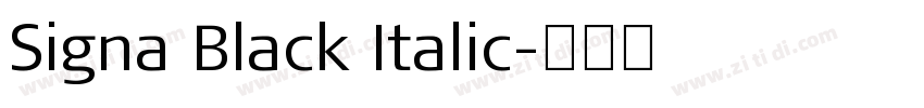 Signa Black Italic字体转换
